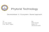 Phytorid Wastewater Treatment Technology- Decentralised  &  Ecosystem  Based approach