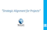 Strategic Alignment of Projects