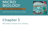 Microbiology: The Human Experience PowerPoint Lecture ch 1