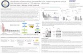 Identification of personalized therapies for LKB1 Mutant lung cancer using a high throughput screen of FDA approved compounds