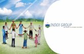 Index group profile