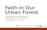 Faith in Our Urban Forest