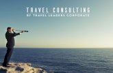 Travel Consulting - An Overview (1)