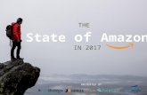 State of the 2017 Amazon Marketplace