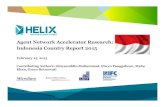 Agent Network Accelerator Indonesia Country Report 2015.pdf