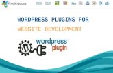 WordPress Plugins For Website Development