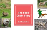 Olivia's Food Chain Story