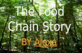 The Food Chain Story
