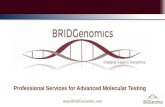 BRIDGenomics Intro & Summary of Services_Jan2017