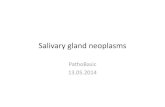 Salivary gland neoplasms. Introduction.