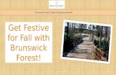 Fall Happenings at Brunswick Forest