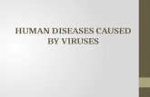 viral diseases of human prepared by hasna
