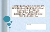 human diseases caused by bacteria strepto coccal diseases,