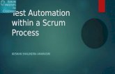 Test automation within a scrum process