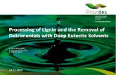 Processing of Lignin and the Removal of Detrimentals with Deep Eutectic Solvents