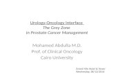 The grey zone in prostate cancer management