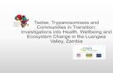 Tsetse, trypanosomiasis and communities in transition: investigations into health, wellbeing and ecosystem change in the Luangwa Valley, Zambia