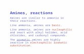 Amines Reactions.ppt