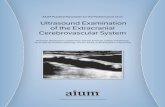 Ultrasound Examination of the Extracranial Cerebrovascular System