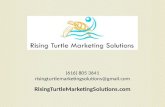 Rising Turtle Marketing Solutions Website Audit PowerPoint