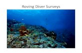 Roving diver surveys 2015