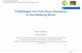Challenges for Fish Pass Solutions in the Mekong River