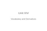 Unit Fourteen Vocabulary Presentation