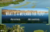 MedWet campaign for the IUCN World Conservation Congress #WetlandsForAll #NatureForAll
