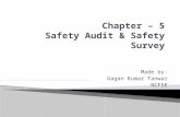 Safety Audit and Safety Survey
