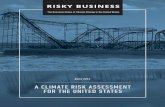 Risky Business Report (2014)