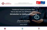 An introduction to IPR for Horizon 2020