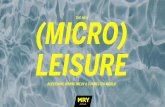 The New Micro Leisure
