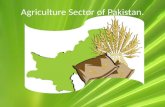 Agriculture  sector of Pakistan