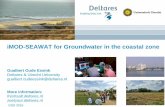 DSD-INT 2016 iMOD-SEAWAT for groundwater in the coastal zone - Oude Essink
