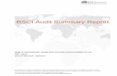 BSCI Audit Report Haoshun