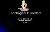 Esophageal Disorder