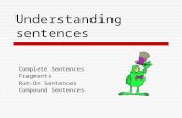 Sentence stucture review