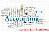 Accountants and Auditors in UAE