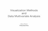 Oles’ Petriv (Data Scientist at VideoGorillas): “ Visualization Methods and Data Multivariate Analysis”