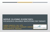 Nerve Gliding Exercises - Excursion and Valuable Indications for Therapy
