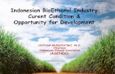 Bioethanol development opportunity in Indonesia