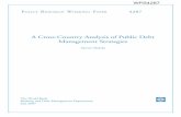 A Cross-Country Analysis of Public Debt Management Strategies