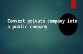 Convert private company into a public company