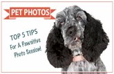 Top 5 tips for a pawsitive pet photo session