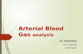 Arterial Blood Gas (ABG) analysis