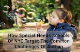 How Special Needs Schools Of NYC Target The Common Challenges Of Autism