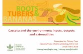 Cassava and the environment: inputs, outputs and externalities