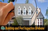 Best building and pest inspection services in brisbane