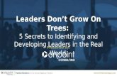 Leaders Don't Grow On Trees: 5 Secrets of Leadership Identification and Development in the Real World