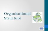 Organizational structure-final